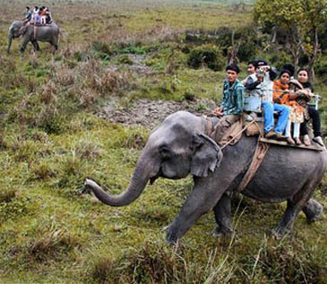 adventure-kaziranga